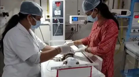 Newborn Buried Living in India Struggles for Existence